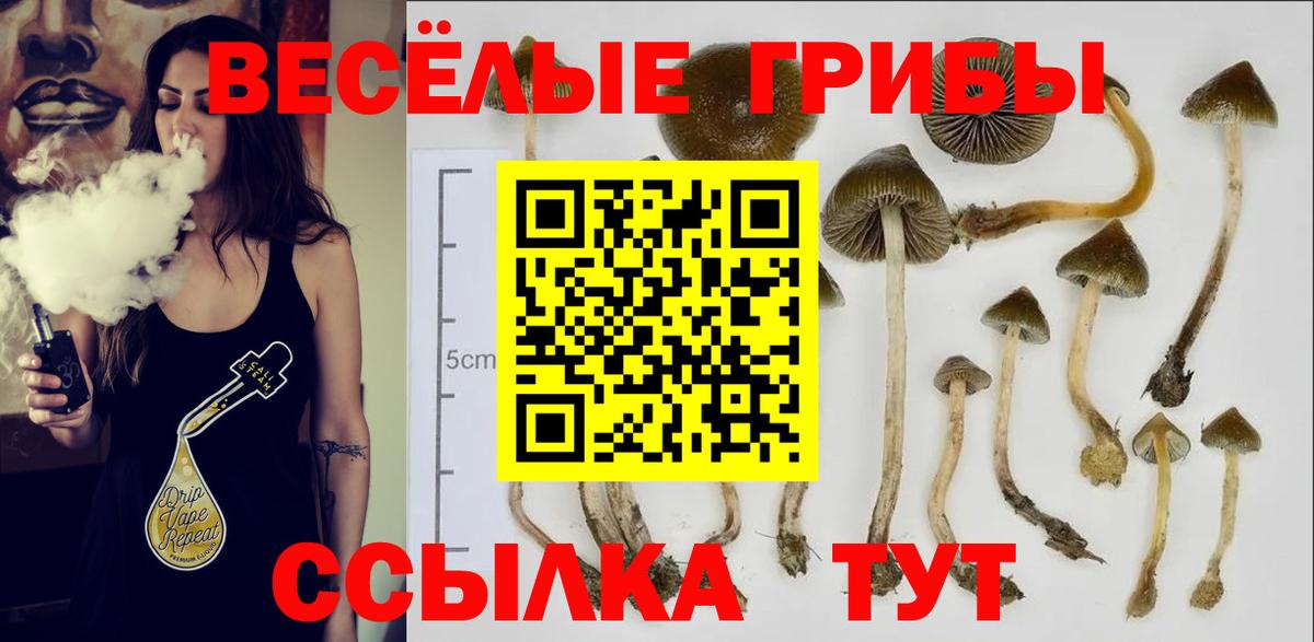 Сергиев Посад  Галлюциногенные грибы MAGIC MUSHROOMS  Вход с VPN 