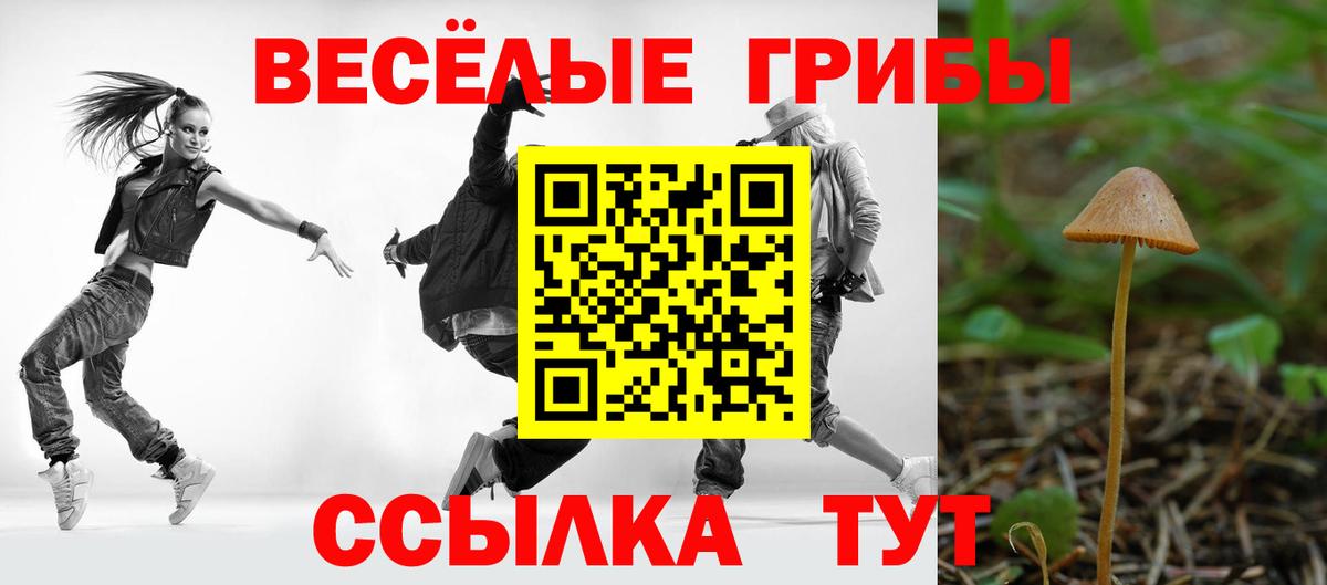 закладка  Вход с VPN  Сергиев Посад  Псилоцибиновые грибы MAGIC MUSHROOMS 